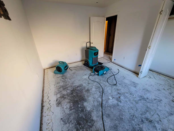 Best Sewage cleanup and water damage restoration  in Merritt Island, FL