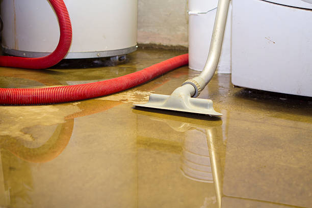 Best Water damage restoration near me  in Merritt Island, FL