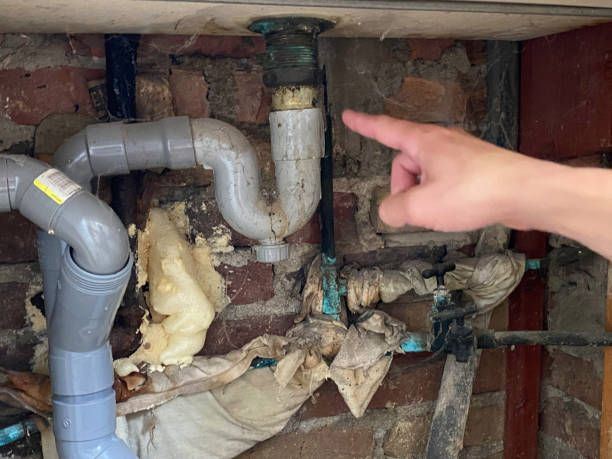 Carpet water damage restoration in Merritt Island, FL