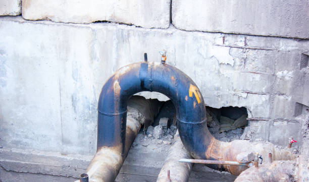 Best Flood damage cleanup  in Merritt Island, FL