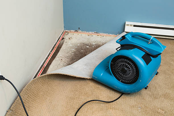 Best Water damage restoration process  in Merritt Island, FL